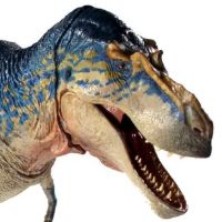 蛇发女怪龙- 1/18可动玩偶