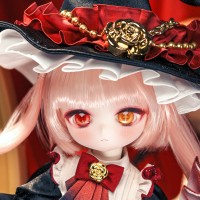 芙罗拉 鸦羽红蔷