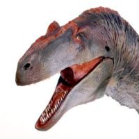 詹氏异特龙– 1/18可动玩偶