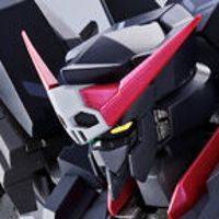 METAL ROBOT魂＜SIDE MS＞ 高达AGE-2 黑猎犬型