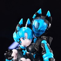 AnimaCircuit 索拉猫猫