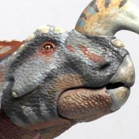 前弯角野牛龙– 1/18可动玩偶