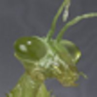 FiguartsZERO 范马刃牙 螳螂