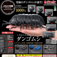 生物大图鉴 鼠妇