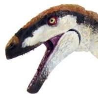 平衡恐爪龙-1/18可动玩偶