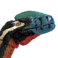 五彩冠龙 – 1/18可动玩偶