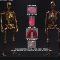 骷髅骨架素体 限定黄金版/玫瑰金版
