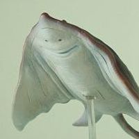 大怪兽系列 奥特Q编 宇宙鳐 博斯坦古（彩色版）