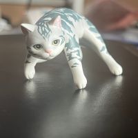 感动的哭了出来