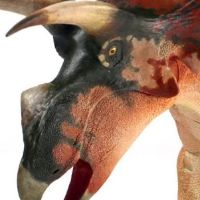 宽牛角龙（粉丝选择）- 1/18可动玩偶