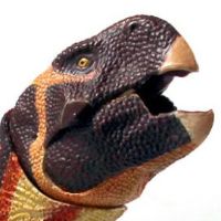 蒙古鹦鹉嘴龙 1/6可动玩偶