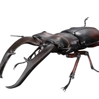 生物大图鉴Premium 巨颚叉角锹形虫（红色）