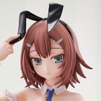 BiCute Bunnies 笨蛋，测验，召唤兽 木下秀吉