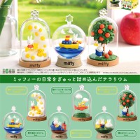 米菲生态瓶每日乐趣