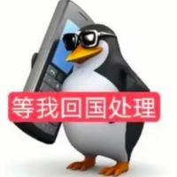 总感觉吧...今年的SJ把我明后年想买的手办都提前包了...