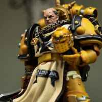 永远的帝皇冠军