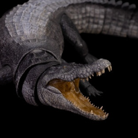 “零集易动”系列- 湾鳄 噩兆之王