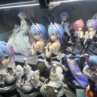 一些蕾姆老婆们 FNEX ……