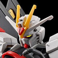 HG 机动战士高达SEED FREEDOM 强袭自由高达二式&光之翼特效组件套装