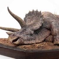 侏罗纪公园 病态三角龙 - 1:8 比例模型