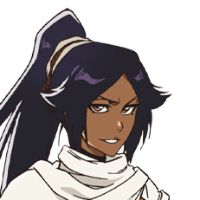 B-style  BLEACH 境·界（死神）四枫院夜一（暂称）