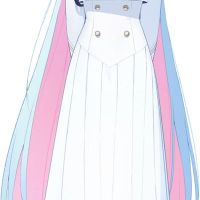 联邦学生会长