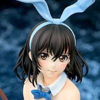噬血狂袭 姬柊雪菜 兔女郎风格 限定配色