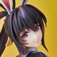 姬岛朱乃 逆兔女郎