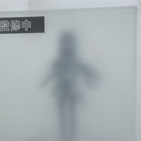 BUZZmod. 剧场版 魔法少女小圆〈魔女之夜的回天〉晓美焰