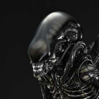 展览馆线XL 初代异形 特写镜头