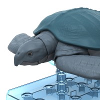 恐龙拼装模型 古巨龟