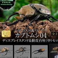 扭蛋 生物大图鉴Advance 独角仙０４ 展示支架&树皮台座（中）套装