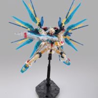 RG 强袭自由高达 透明配色版 Ver.