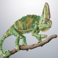 生物大图鉴 高级版 高冠变色龙