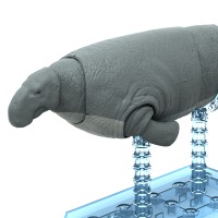 恐龙拼装模型 大海牛（巨儒艮）