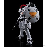 RG 多鲁基斯（动画片配色版Ver.）