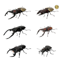 生物大图鉴 锹甲 12 小号树皮底座套装 扭蛋线上版限定