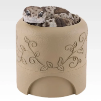 D奖 西非拟蜥蜴守宫与仿洞穴造型收纳盒