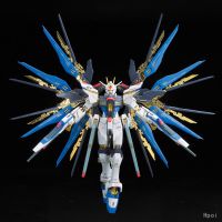 14 RG  强袭自由高达