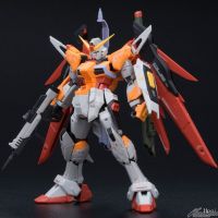 RG 命运高达 海涅专用配色版
