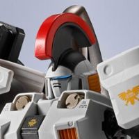 METAL ROBOT魂 ＜SIDE MS＞ 托鲁基斯