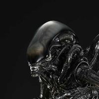 展览馆线XL 异形1 初代异形（普通版）
