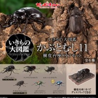 扭蛋 生物大图鉴 独角仙１1 树皮台座（小）套装