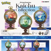 宝可梦 怀表收藏