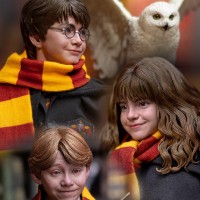 JND Studios 哈利·波特与魔法石 哈利·波特/罗恩/赫敏 1:6 可动人偶/兵人（精简版）