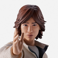 S.H.Figuarts 津上翔一