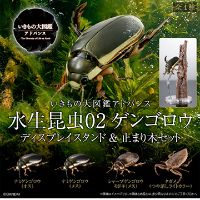 扭蛋 生物大图鉴Advance 水生昆虫02