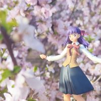 【间桐樱】春よ、来い