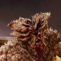 最后生还者 巨无霸