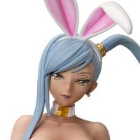 B-style CODE GEASS 反叛的鲁路修 维蕾塔·努 高贵白色兔女郎